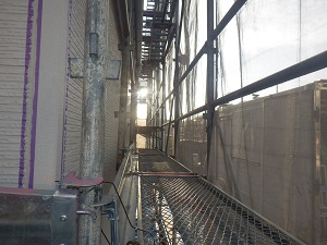 IMGP0597